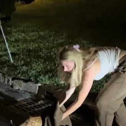 Bebé veado recusa afastar-se da mulher que o salvou de esgoto nos EUA