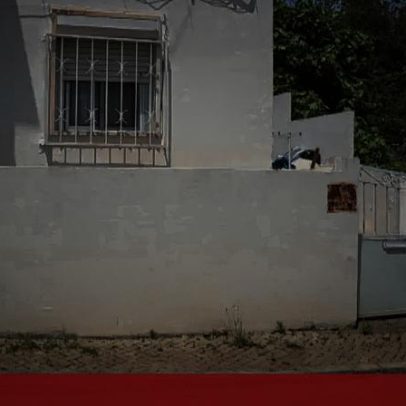 Jovem luta pela vida após matar namorada de 16 anos que rompeu relação