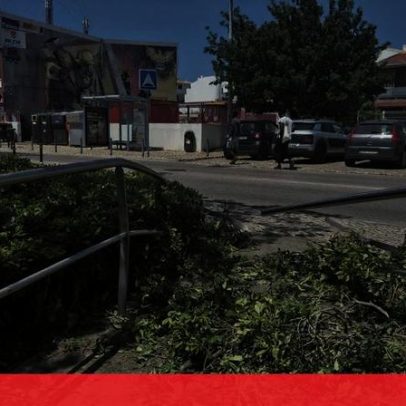 Mulher morre atropelada no passeio diante do marido; condutora impedida de fugir