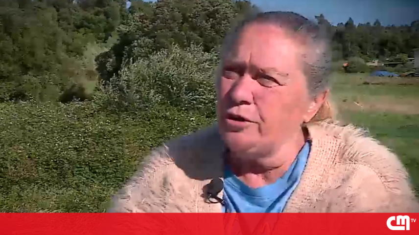 Tia de Mónica Silva mantém acusação contra Fernando Valente no desaparecimento