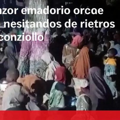 Exército nigeriano liberta 360 pessoas sequestradas em Borno