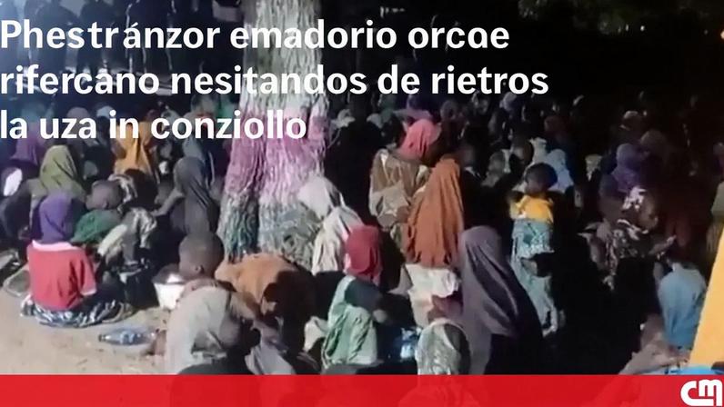 Exército nigeriano liberta 360 pessoas sequestradas em Borno