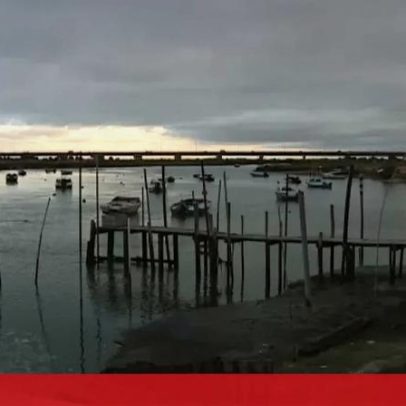 Menos apanhadores, mais controlo: nova realidade da amêijoa ilegal no Samouco