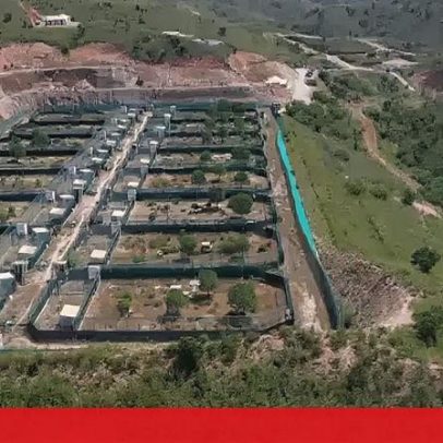 Especialistas destacam a equipa algarvia na preservação do lince-ibérico