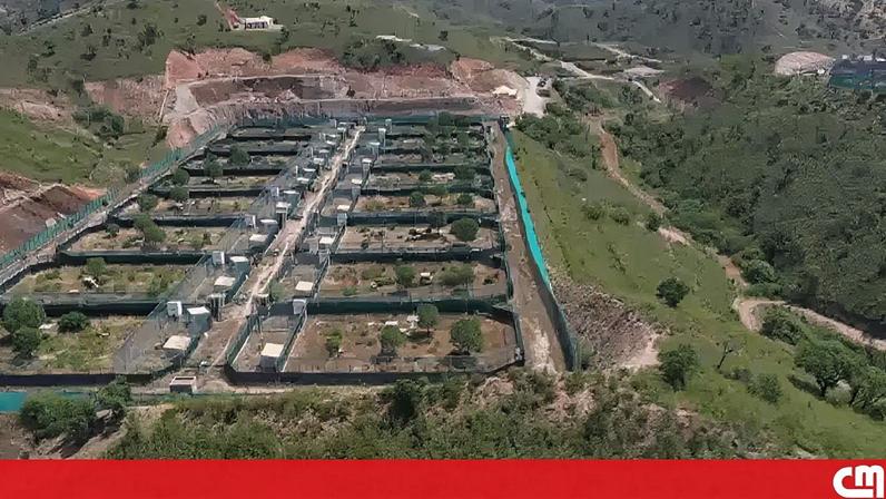 Especialistas destacam a equipa algarvia na preservação do lince-ibérico