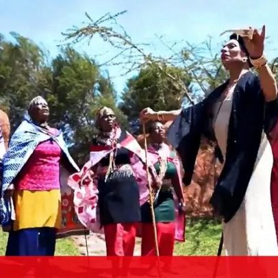 Diva na Tribo estreia hoje na CMTV