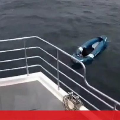 Cão resgatado após ficar à deriva no mar em caiaque