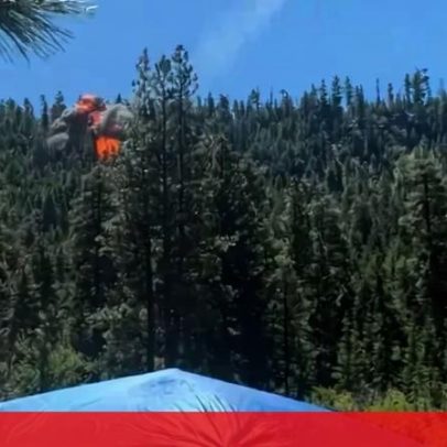 Caça despenha-se em Washington e provoca incêndio florestal