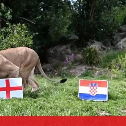 Inglaterra na fase de grupos do Mundial 2026: já fizeram as suas apostas