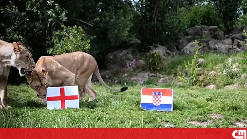 Inglaterra na fase de grupos do Mundial 2026: já fizeram as suas apostas