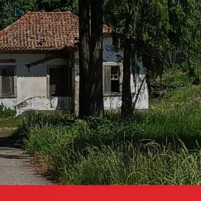 Imagens mostram local onde menina de oito anos foi encontrada morta