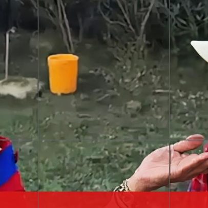 Quinto episódio de Uma Diva na Tribo tem seus melhores momentos