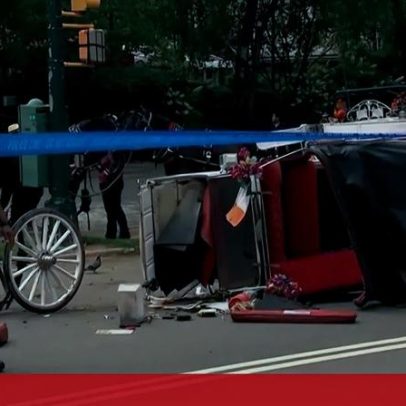 Adolescente morre após tiro de charrete no Central Park, Nova Iorque