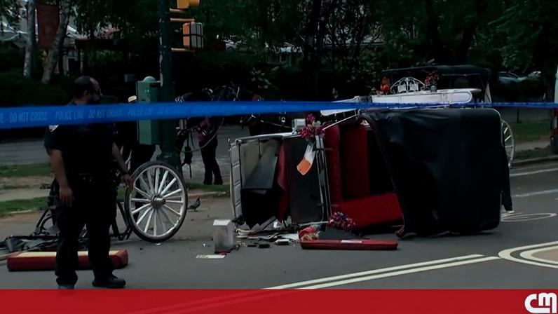 Adolescente morre após tiro de charrete no Central Park, Nova Iorque