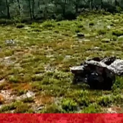 Cronologia do homicídio de Lara choca o país