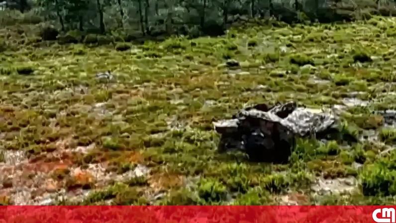 Cronologia do homicídio de Lara choca o país