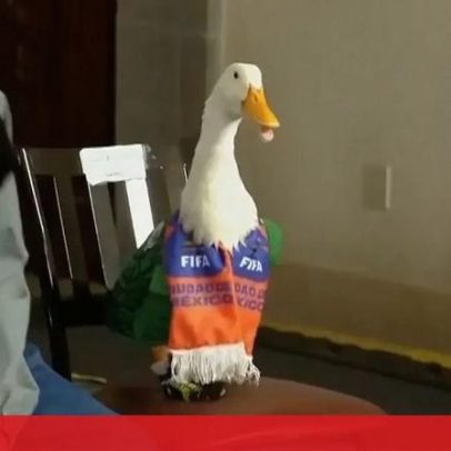 Pato Merlin torna-se mascote do Mundial e é recebido pela presidente do México