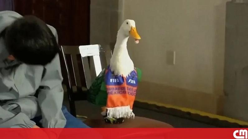 Pato Merlin torna-se mascote do Mundial e é recebido pela presidente do México