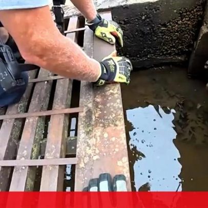 Bombeiros resgatam cão preso num esgoto nos EUA