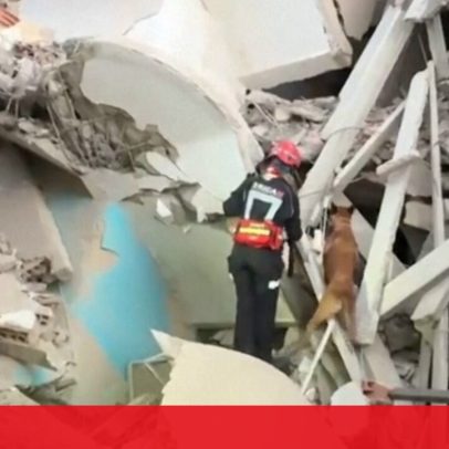 Cães ajudam equipas espanholas a localizar sobreviventes em sismos na Venezuela