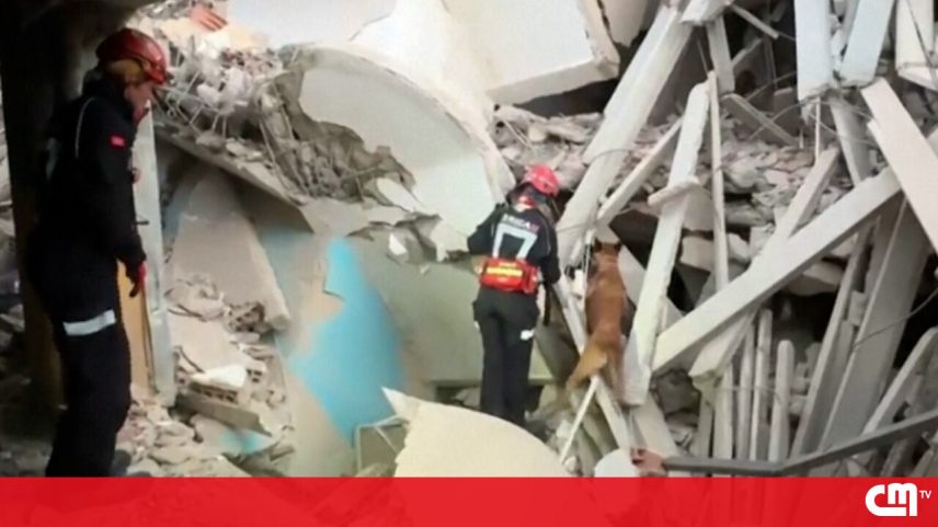 Cães ajudam equipas espanholas a localizar sobreviventes em sismos na Venezuela