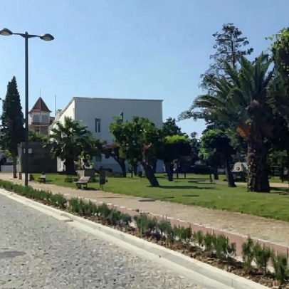 Vândalos destroem cabos das comemorações do Dia da Criança em Alfândega da Fé