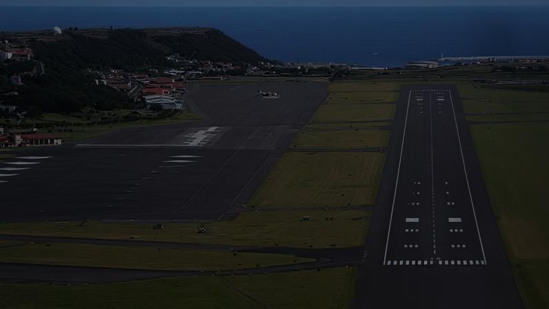 Chumbo em esqueletos preocupa após contaminação na Base das Lajes