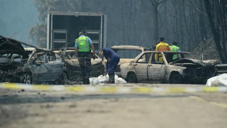 Nove anos após Pedrógão, 228 mil euros de donativos ainda por executar