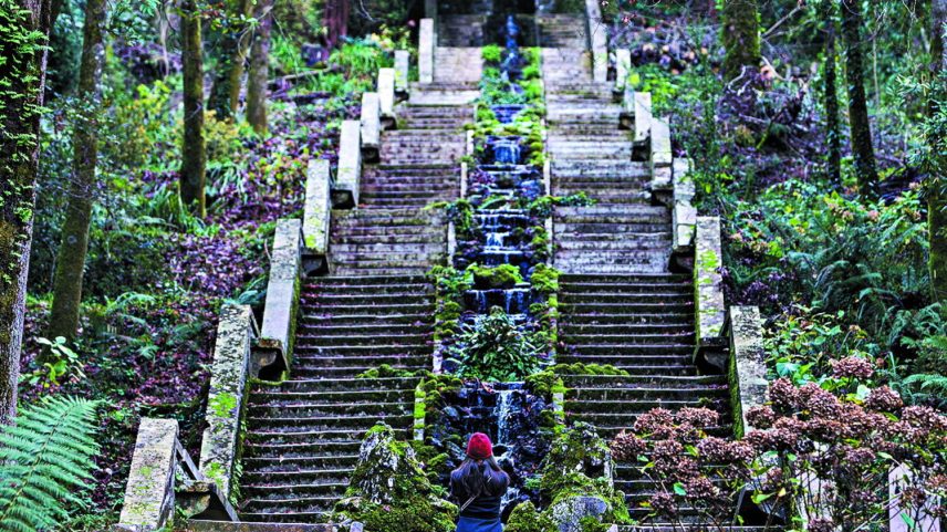 Mata do Bussaco
