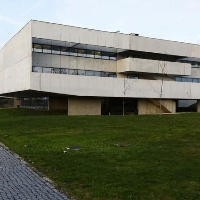 Investigadores do Porto desenvolvem tecnologia para enriquecer sorgo