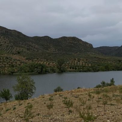 Homem desaparece nas águas do Douro em Marco de Canaveses