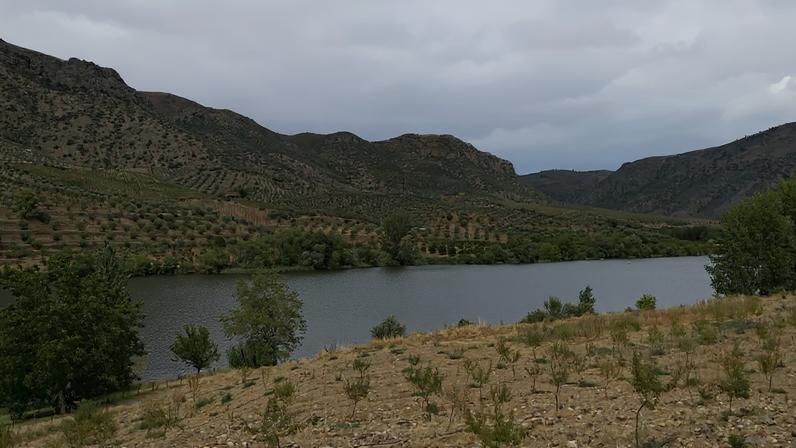 Homem desaparece nas águas do Douro em Marco de Canaveses