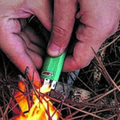 Detido suspeito de três incêndios florestais em Sintra