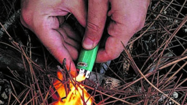 Homem de 34 anos foi este sábado detido por ser suspeito de ter ateado três incêndios florestais na quarta e quinta-feira no concelho Sintra