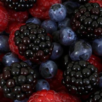 Produção de pequenos frutos triplica em 10 anos para 91.400 toneladas em 2025