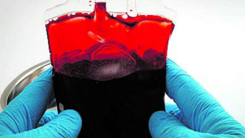 Falta de meios para recolher dádivas de sangue preocupa Federação de Dadores