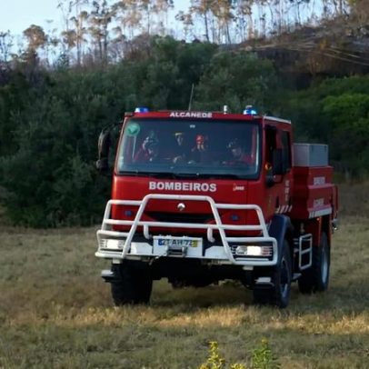 Seis meios aéreos combatem incêndio em Salvaterra de Magos