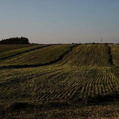 UE prepara compra de adubos para agricultores afetados pela subida de preços