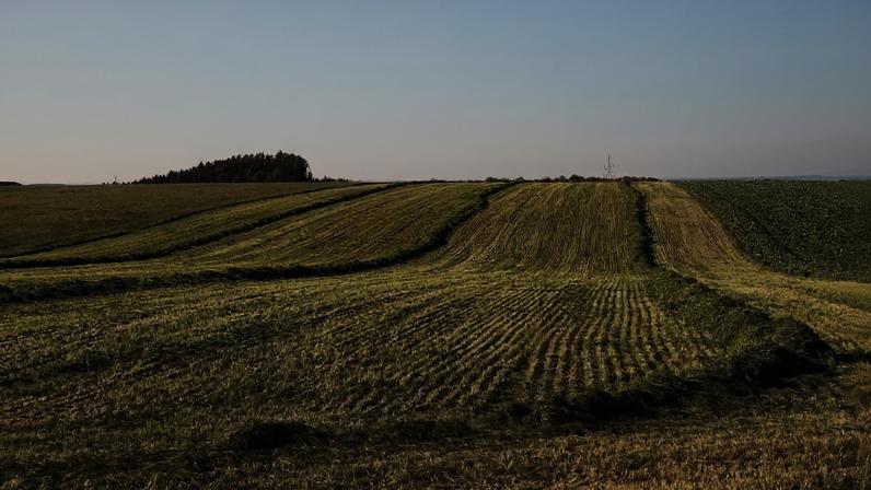 UE prepara compra de adubos para agricultores afetados pela subida de preços