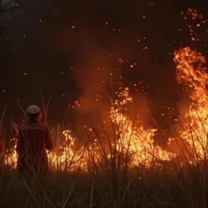 Suspeito é caçado por provocar seis fogos florestais
