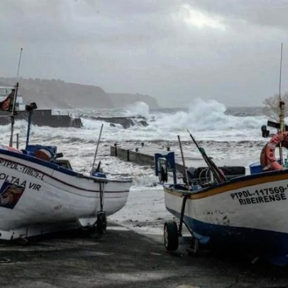 Pescadores e comerciantes apelam a regras na abertura da época da lapa Açores