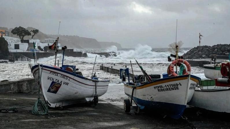 Pescadores e comerciantes apelam a regras na abertura da época da lapa Açores