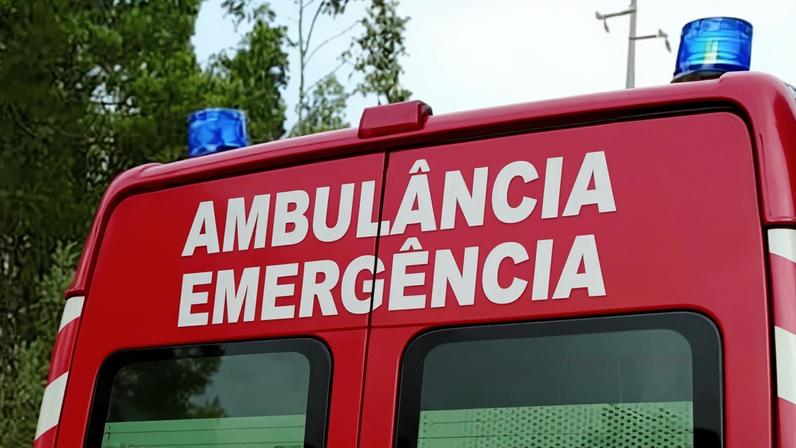 Morre atropelado na A1 enquanto ambulância era mobilizada para socorrer