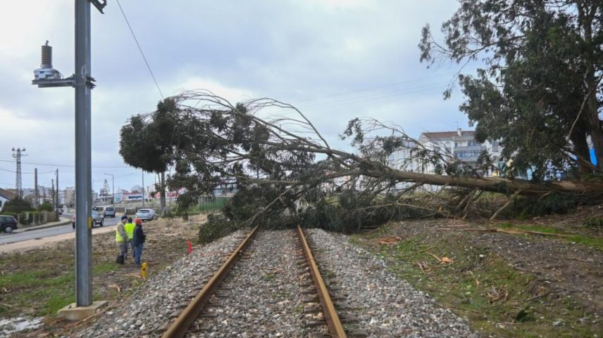 Reparação da ferrovia entre Torres Vedras e Mafra arranca até final do mês