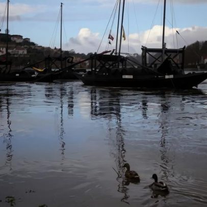 Colisão entre barcos provoca acidente no Douro, no Porto