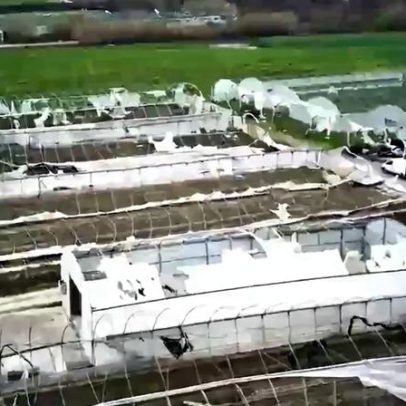 Prejuízos do mau tempo na agricultura ultrapassam 550 milhões de euros