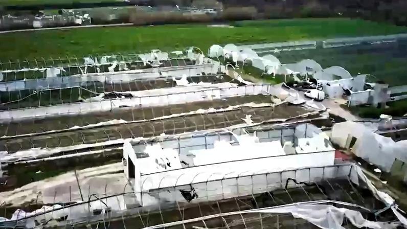 Prejuízos do mau tempo na agricultura ultrapassam 550 milhões de euros