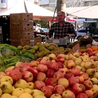 Cabaz alimentar sofre maior queda desde início de abril para 255,57 euros
