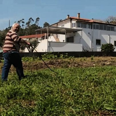 Agricultores acusam Governo de quebra de confiança e afastam-se do restauro