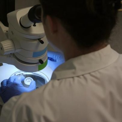 Investigadores estudam como o organismo adormece o cancro
